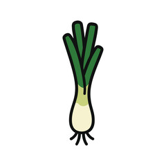 Vector illustration of a fresh leek vegetable.