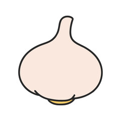 Simple vector illustration of a garlic bulb.