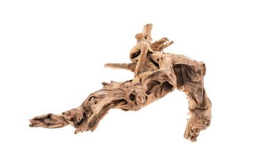 Wooden snag, Driftwood or aged wood isolated on white background