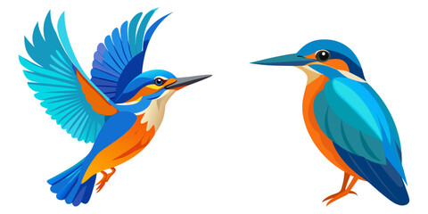 Fototapeta premium A kingfisher hovers, its vibrant blue and orange feathers brilliant.