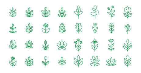 Green leaves, environment, and nature eco sign. Tree plant outline icon. Vector eps 10