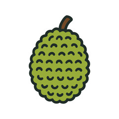 Vector image of a ripe durian fruit.