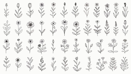 Naklejka premium set of flowers silhouettes