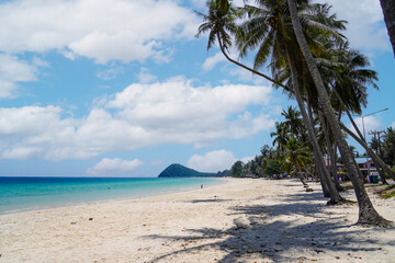 A scenic view of sandy beach with coconut trees against blue sky with cloud in the background in summer, presenting a breathtaking sea scenery in Thung Wua Laen Beach, Chumphon, Thailand.