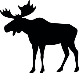Silhouette of a majestic bull moose with large antlers standing alert isolated on white background