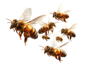 A group of bees flying around, transparent background PNG file