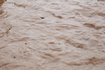 Close-up view of wet sandy surface with water pooling, showcasing the effects of freezing rain on natural terrain, highlighting texture and environmental impact