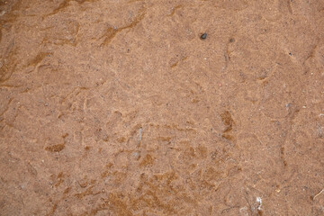 Ground covered with a thin layer of ice and freezing rain, creating a slick surface that reflects light, showcasing the beauty of winter weather and its effects on the environment
