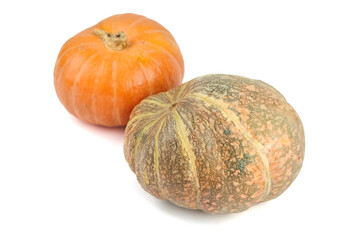 Two distinct pumpkins, one orange and round, the other greenish-brown and ribbed, showcasing their unique textures and shapes against a clean white background