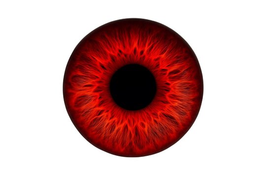 Red Iris Close-Up &ndash; Vivid and Intense Eye Color

