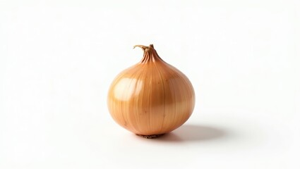 Single onion on a white background.