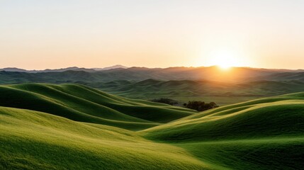 Obraz premium Rolling green hills bathed in golden sunlight at sunrise. Peaceful landscape with soft lighting. Serenity.