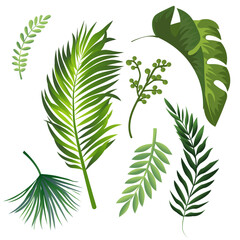 set of green leaves Collection of green tropical leaves. Perfect for botanical compositions, summer invitations, posters, and floral design elements.