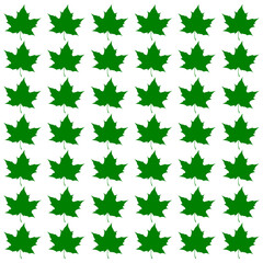 Autumn falling leaves background isolated on transparent background