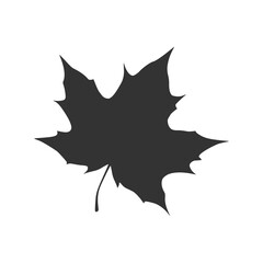 Maple leaf icon isolated on transparent background