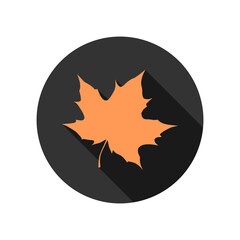 Maple leaf icon isolated on transparent background