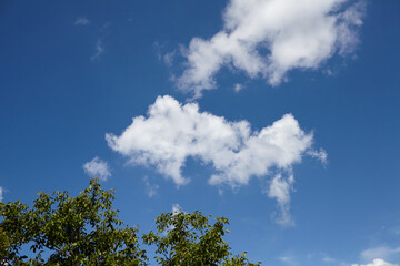 Bright blue sky with fluffy white clouds and green foliage below, creating a serene atmosphere,...