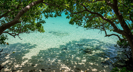 "Tropical Beach with Crystal Clear Water and Tree Shadows &ndash; Paradise Coastal Scene"