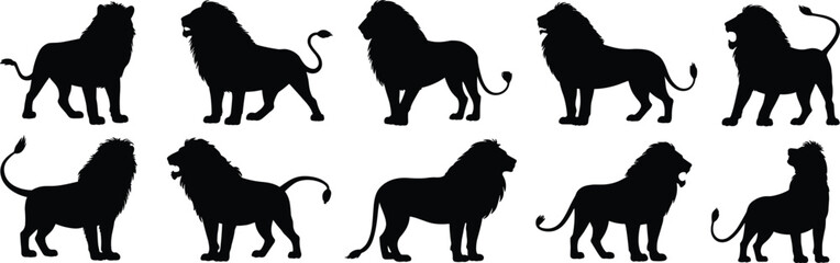 Lion silhouettes, majestic poses, standing lions, mane detail, wild animal vector, African wildlife, powerful stance, black graphic, nature