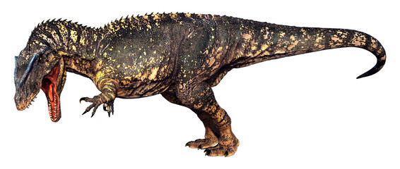 3D Rendering Dinosaur Gigantosaurus on White