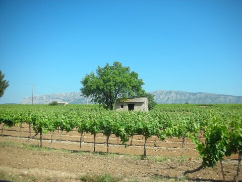 Un petit cabanon