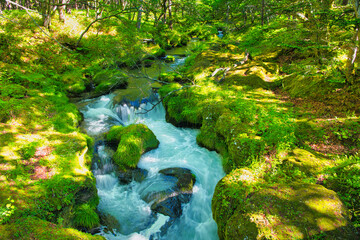 栃木県日光市　奥日光の戦場ヶ原を流れる湯川