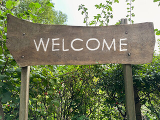 Welcome wooden sign board and different plants outdoors