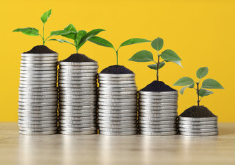 Savings concept. Stacked coins with sprouts on table against orange background