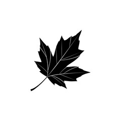 A striking graphic illustration of a single black maple leaf with a subtle shadow on a white background