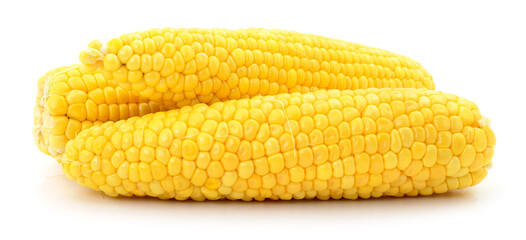 Boiled corn on white background