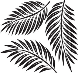 Obraz premium Three black palm fronds arranged on a white background, vector illustration leaf leaves