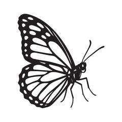 Elegant Butterfly Illustration Black and White Silhouette of a Graceful Insect with Detailed Wing Patterns a Timeless Symbol of Transformation