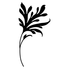 Single silhouetted leaf. Elegant floral decor.