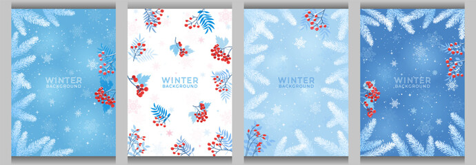 Set of 4 winter backgrounds with fir branches, red berries and snowflakes. Template design for greeting card, cover, social media post. Vector illustration. Not AI generated.