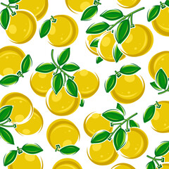 Obraz premium Grapefruit background, pattern set. Collection icons grapefruit. Vector