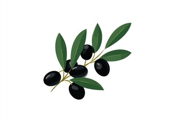 Black olives on a branch with lush green leaves