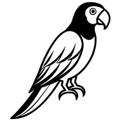 Obraz premium Elegant Bird Vector Illustration A Symbol of Freedom and Natural Beauty