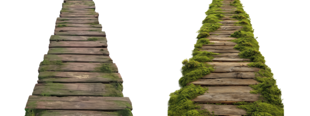 A rustic wooden pathway made of aged planks aligned in a straight line surrounded by green moss on both sides