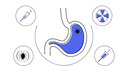 Infographic, Stomach Infection Treatment Vector Illustration