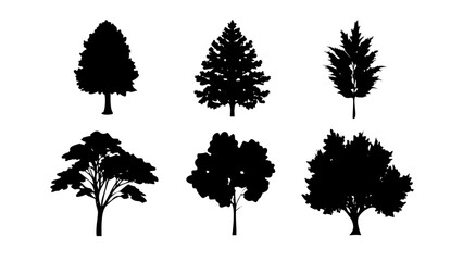Six Black Tree Silhouettes, Vector Illustrations for Nature Designs