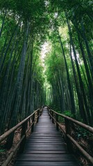 Obraz premium Wooden path through dense bamboo forest