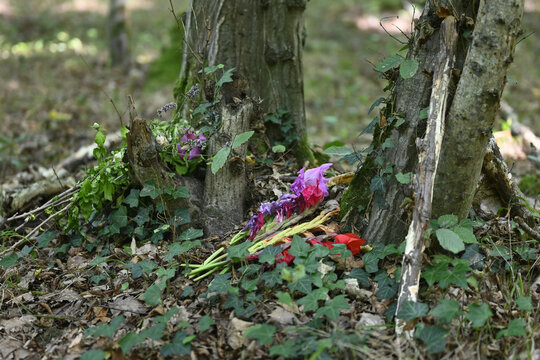 waldbestattung