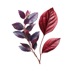 Obraz premium Close-up of contrasting purple-red leaves on a stem