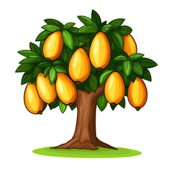 Breadfruit tree isolated on white background 