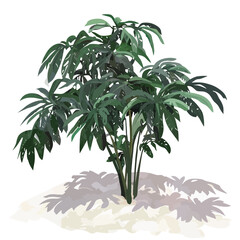 Vector breadfruit tree 