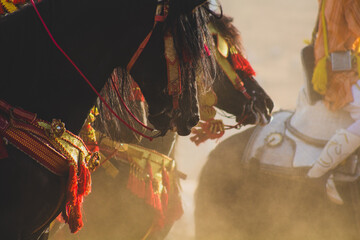 Naklejka premium Moroccan Fantasia