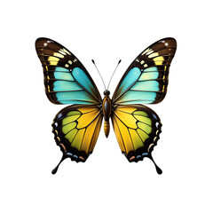 Obraz premium Butterfly isolated on transparent background