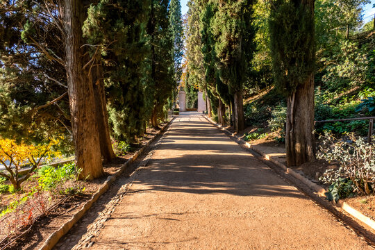 Walk of the Oleanders at Generalife Gardens of Alhambra - Granada, Andalusia, Spain.