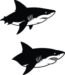 Great White Shark vector illustration set, featuring two different versions of the powerful ocean predator. One is a detailed silhouette with white underbelly and the other is a full black graphic.