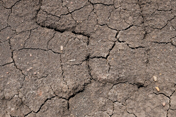 Wall texture soil dry crack pattern of drought lack of water of nature brown old broken background.